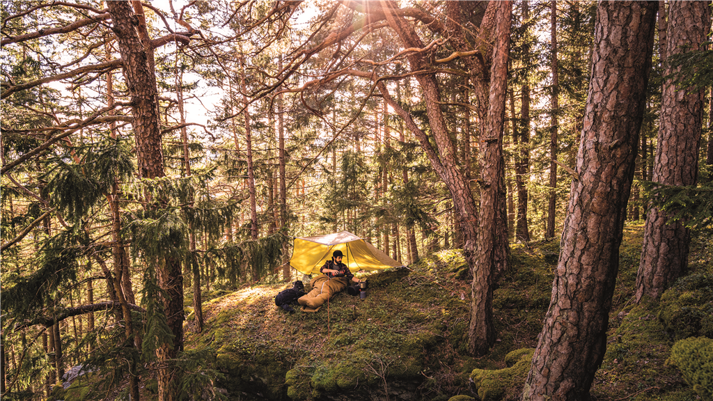 Tarp Odissey Wing - Ausstellungsstück -